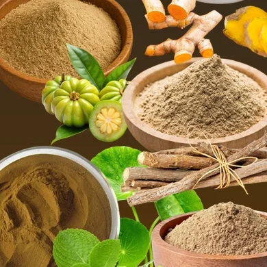 Herbs | Botanical Extracts | Premium Quality Herbs & Botanical Extracts ...